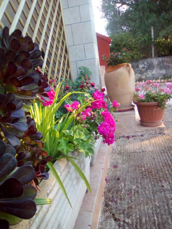 Bed and Breakfast Casa Te La Bradamante Magliano Экстерьер фото
