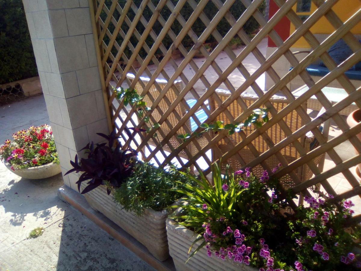 Bed and Breakfast Casa Te La Bradamante Magliano Экстерьер фото