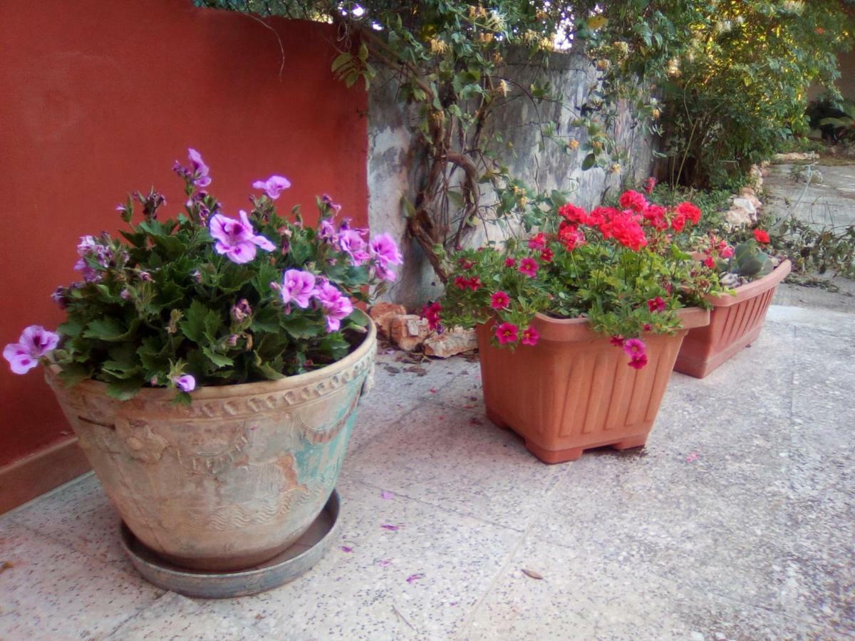 Bed and Breakfast Casa Te La Bradamante Magliano Экстерьер фото